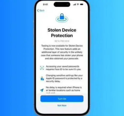 凤阳苹果授权维修店分享被盗设备保护功能开启方法 