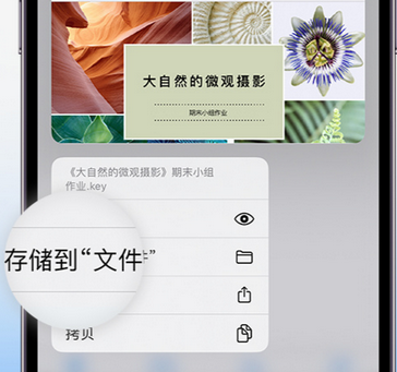 凤阳apple维修中心分享iPhone文件应用中存储和找到下载文件