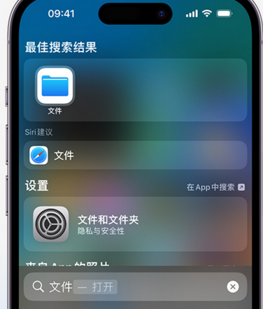 凤阳apple维修中心分享iPhone文件应用中存储和找到下载文件 