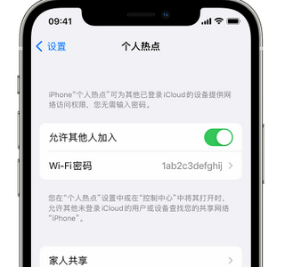 凤阳apple服务站点分享iPhone上个人热点丢失了怎么办 