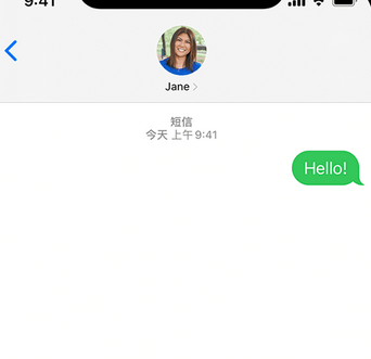 凤阳apple维修iPhone上无法正常发送iMessage信息