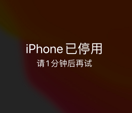 凤阳苹果手机维修分享:iPhone 显示“不可用”或“已停用”怎么办？还能保留数据吗？ 