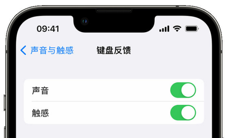 凤阳苹果手机维修分享iPhone 14触感键盘使用方法 