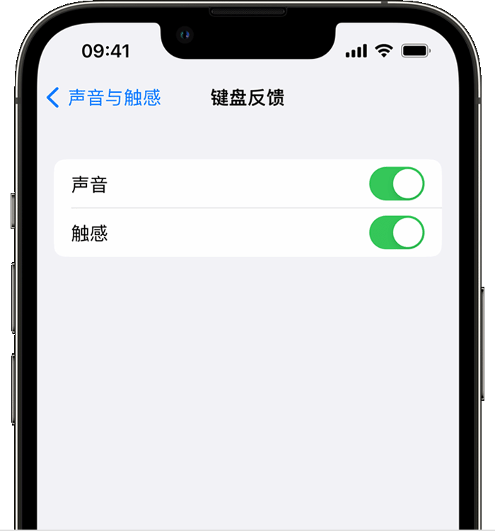 凤阳苹果14维修店分享如何在 iPhone 14 机型中使用触感键盘 