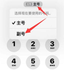 凤阳苹果14维修店分享iPhone 14 Pro Max使用副卡打电话的方法 