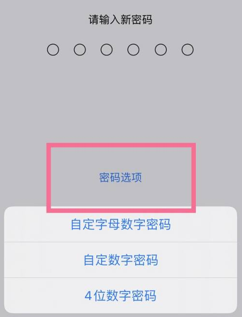 凤阳苹果14维修分享iPhone 14plus设置密码的方法 