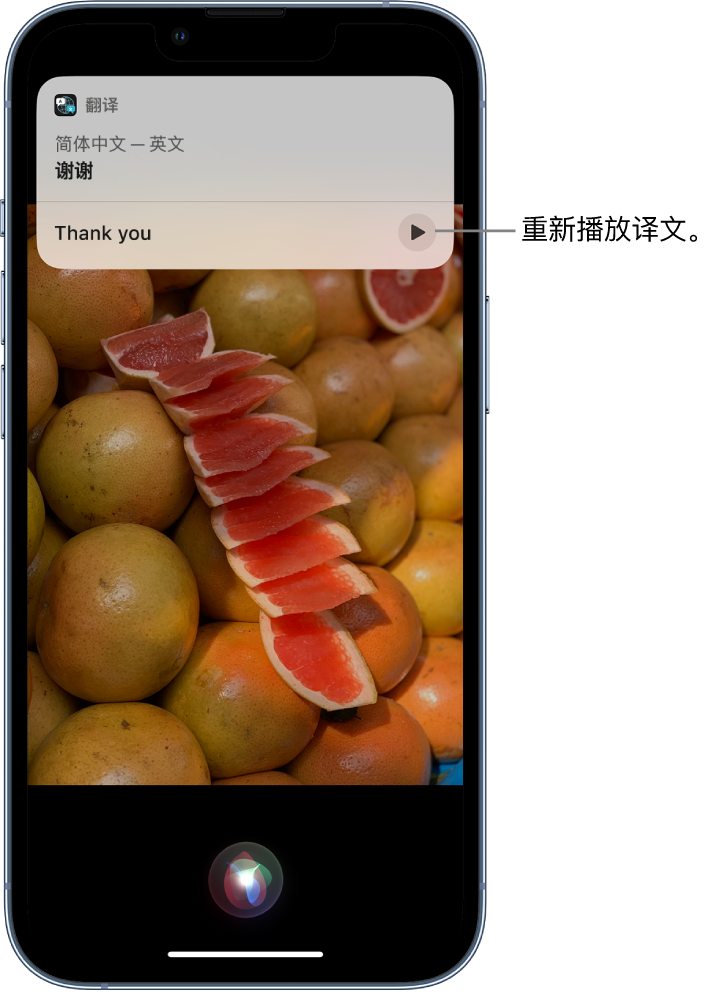 凤阳苹果14维修分享 iPhone 14 机型中使用 Siri：了解 Siri 能帮你做什么 