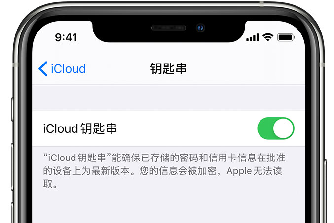 凤阳苹果手机维修分享在 iPhone 上开启 iCloud 钥匙串之后会储存哪些信息 