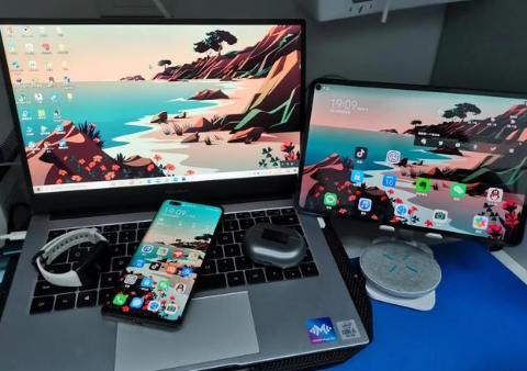 凤阳苹果手机维修分享为什么iPad屏幕更大价格却比iPhone低 