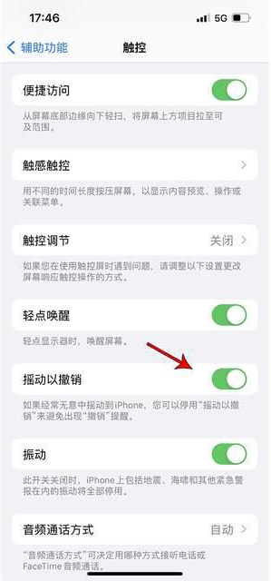 凤阳苹果手机维修分享iPhone手机如何设置摇一摇删除文字 