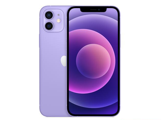 凤阳苹果手机维修分享现阶段要不要入手紫色版iPhone12 