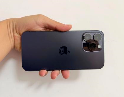 凤阳苹果维修点分享iPhone 14 Pro Max发烫多重诱因剖析 